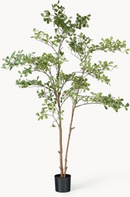 Kunstplant Tropical Almond