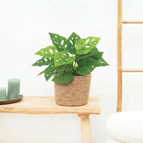 Kunst Philodendron birkin - 20cm