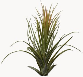 Kunstbloemen Tillandsia, 2-delig