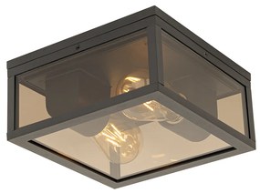 Buitenlamp Plafondlamp zwart met smoke glas 2-lichts IP44 - Charlois Modern E27 IP44 Buitenverlichting vierkant