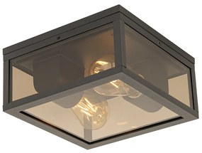 Plafondlamp zwart met smoke glas 2-lichts IP44 - Charlois
