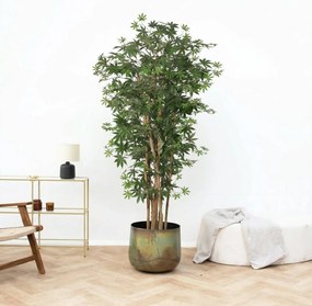 Kunst Acer palmatum - 180cm
