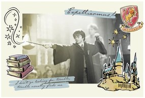 Kunstafdruk Harry Potter - Expelliarmus