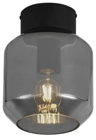 Moderne plafondlamp zwart met smoke glas - Stiklo Modern E27 rond Binnenverlichting Lamp