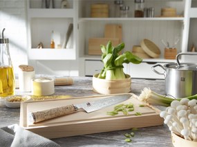 MIYABI BIRCHWOOD 5000MCD Gyutoh 24 cm - BIRCHWOOD 5000MCD - MIYABI