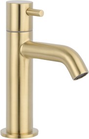 Saqu Eurotrend fonteinkraan met greep geborsteld messing