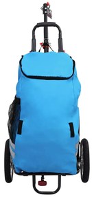 vidaXL Fietskar inklapbaar met boodschappentas blauw en zwart