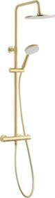 Saqu Eurotrend 225 regendoucheset met 4 straalsoorten Ø23cm geborsteld messing PVD-coating