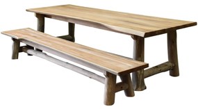 Pearl dining tuinset 300x100xH77,5 teak 2 delig