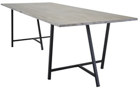 Jörn Eettafel - Ture - 250x100 cm - Teakhout - Jörn