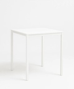 Dino Vierkante Tafel 65 cm