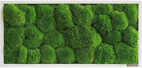 Handgemaakt bolmos wanddecoratie Forest, ingelijst