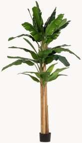Outdoor kunstplant Banana, H 320 cm
