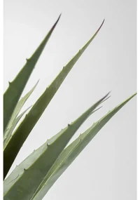 Kare Design Agave Kunstplant Agave