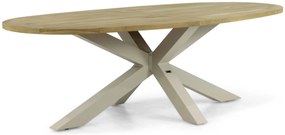 Dining Tuintafel 240 x 120 cm Aluminium/teak Taupe Brookline