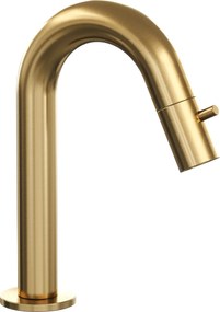 Brauer Gold Edition opbouw fonteinkraan met gebogen uitloop goud geborsteld PVD
