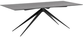 Goossens Excellent Eettafel Uniek, Rechthoekig 240 x 100 cm