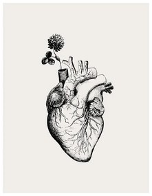 Ilustratie Heart Bloom, KsanaKalpa