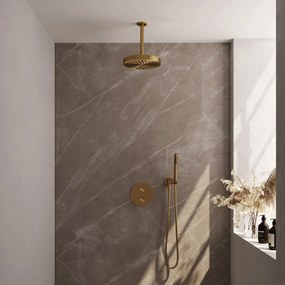 Brauer Stripe inbouw regendouche rond met 25cm hoofddouche, plafondarm en staafhanddouche set 39 messing geborsteld PVD