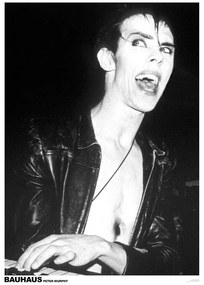 Poster Peter Murphy of Bauhaus