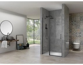 Van Rijn Products Nisdeur 6 mm helder glas, incl. glasbehandeling, zwart beslag, inclusief dichtingen, deuren zijn omkeerbaar (1270-1290) x 2000 mm ST02LP300130ZW