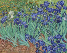 Vincent van Gogh - Kunstreproductie Irissen, (40 x 30 cm)