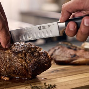 ZWILLING VIER STERNE Jamonero 26 cm - VIER STERNE - ZWILLING