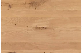 Goossens Eettafel Blade, Strak blad 200 x 100 cm 6 cm dik