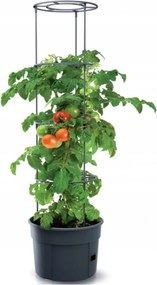 Prosperplast Tomato Grower Tomatenpot - Antraciet -Ø 29,5 cm - 12 Liter