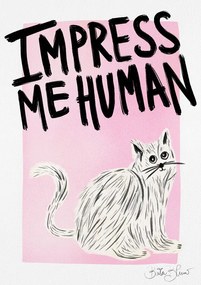 Ilustratie Cat Owner - Impress Me Human, Baroo Bloom, (30 x 40 cm)