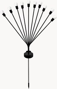 Solar grondlampen Lyra, 4-delig