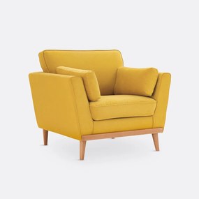 Fauteuil in fluweel, Tasie