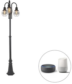 Smart buitenlamp zwart 3-lichts IP44 incl. Wifi ST64 - Guardado Landelijk / Rustiek, Landelijk E27 IP44 Buitenverlichting