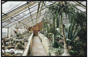 Goossens Schilderij Urban Botanical 3, 148 x 98 cm