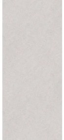 Zenon Essenza wandpanelen - 120x60cm - SPC - set van 4 - Vertigo light (grijs) 400000000000044854