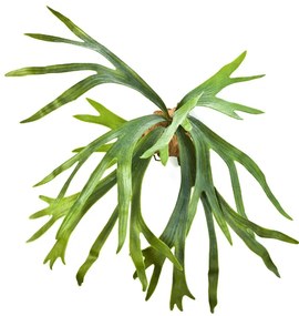 Varen Staghorn Kunstplant - 55 cm