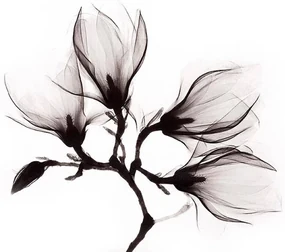 Goossens Schilderij Art Of Nature Flower, 98 x 48 cm