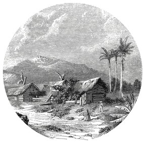 WallArt Behangcirkel Landscape of Guadeloupe 142,5 cm