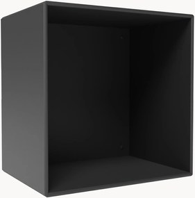 Module Mini 1001