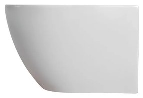 Sanigoods Pieter randloos toiletpot met bidetsproeier wit glans