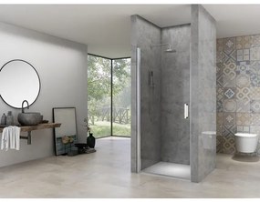 Van Rijn Products Nisdeur 6 mm helder glas, incl. glasbehandeling, chroom beslag, inclusief dichtingen, deuren zijn omkeerbaar (970-990) x 2000 mm ST02LP10097