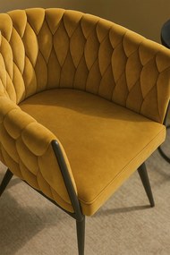 Widny Zwart Fluwelen Stoel