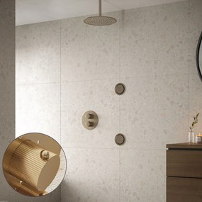 Saniclear Brass Stripes inbouw regendouche 20cm met ronde massagejets en plafondarm geborsteld messing - mat goud