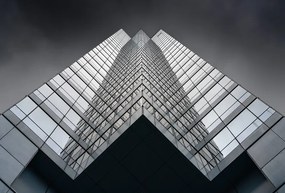 Foto W Shape, David Chiodo