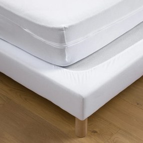 Volledige matrashoes in jersey anti-huisstofmijt H22 cm