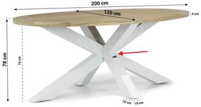 Tuinset 4 personen 200 cm Aluminium/teak Wit Lifestyle Garden Furniture Brandon/Bradford