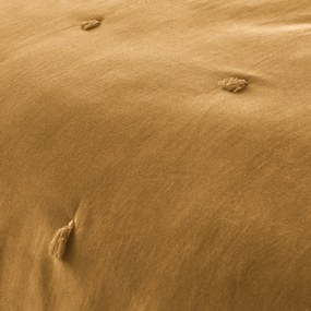 Dekbed in fluweel, Paula