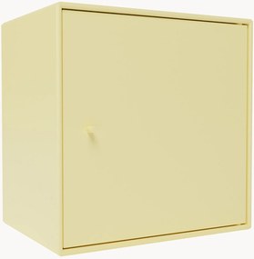 Module Mini 1003