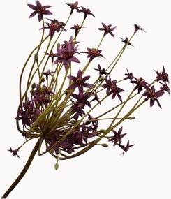 Handgemaakte kunsttakken Ornithogalum, 4-delig