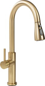 Keukenkraan Rea Nest Gold Brush